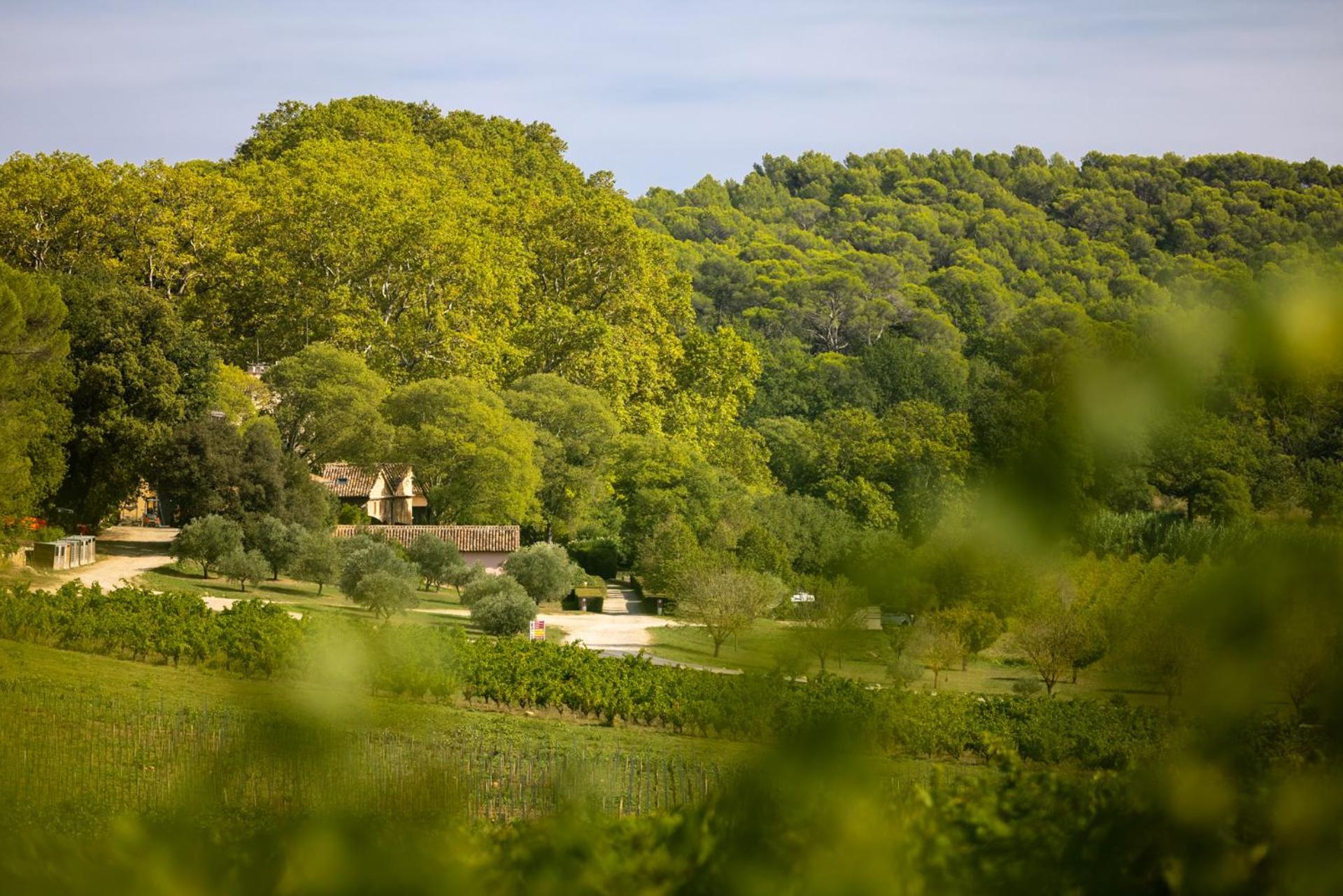 Chateau Mentone Masseboeuf Exterior foto